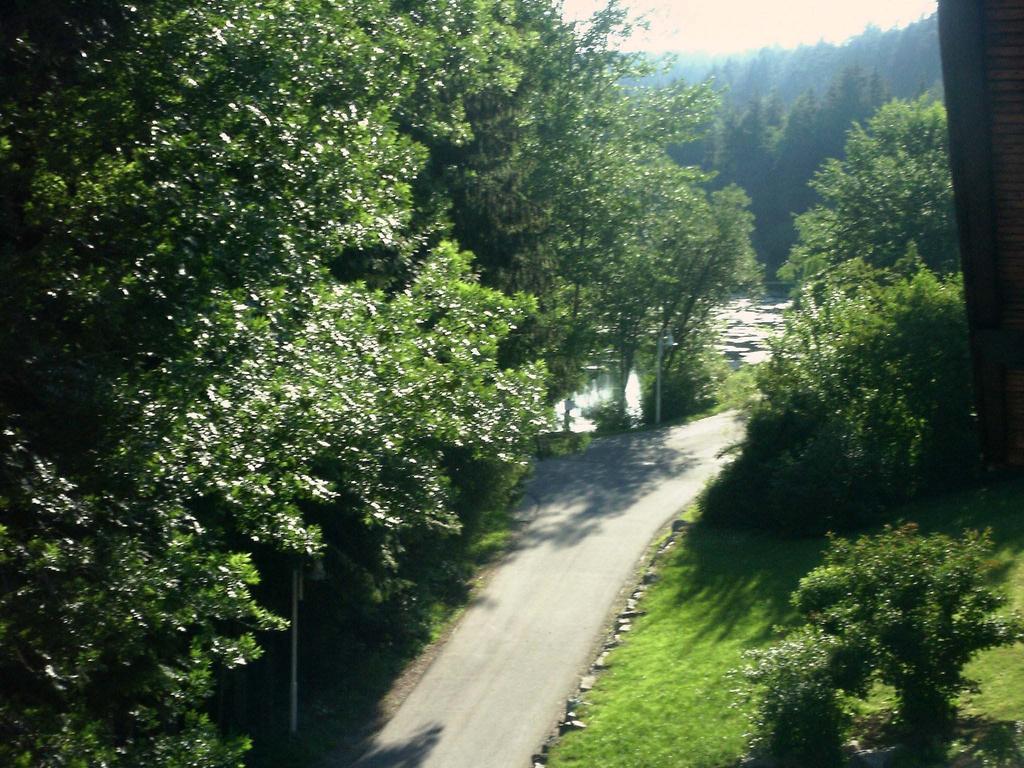 Hotel Waldsee 瓦尔达赫陶 外观 照片